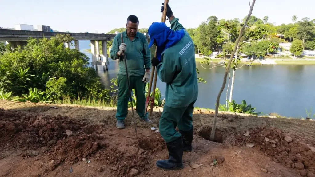 Área de alto risco em Santo André onde 19 moradias foram desocupadas recebe 245 árvores nativas após retirada de 12 toneladas de resíduos perto da Represa Billings Área de alto risco em Santo André onde 19 moradias foram desocupadas recebe 245 árvores nativas após retirada de 12 toneladas de resíduos perto da Represa Billings