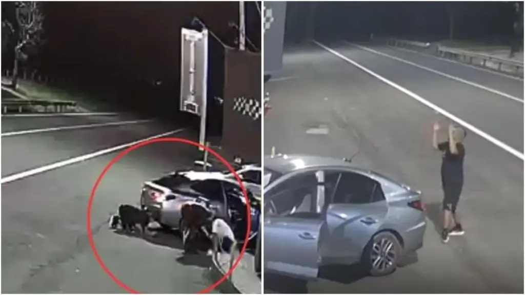 Ao perceber que o filho de 2 anos havia parado de respirar dentro do carro, pai corre até uma base da SP-300 com o menino desacordado nos braços e câmeras registram policiais reanimando a criança enquanto ele se ajoelha