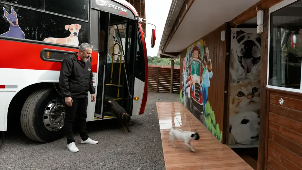 Educador trocou carreira de químico por cães, abriu creche com 4 animais e hoje usa ônibus adaptado para transportar até 50 passageiros de quatro patas por viagem Educador trocou carreira de químico por cães, abriu creche com 4 animais e hoje usa ônibus adaptado para transportar até 50 passageiros de quatro patas por viagem
