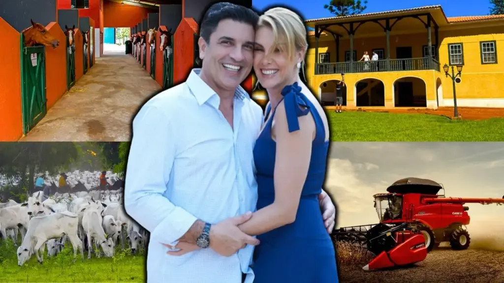 Ana Hickmann e Edu Guedes dicidem comprar uma fazenda com mais de 150 anos no interior de São Paulo, preservam pisos, portas, janelas e paredes antigas durante a reforma e transformam a histórica Fazenda São Bento na Casa Gialla, novo projeto rural do casal