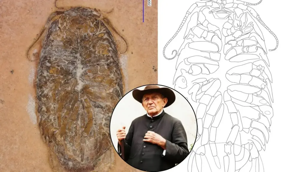 Fóssil de 115 milhões de anos batizado em homenagem a Padre Cícero é encontrado nos EUA e prepara retorno ao Ceará após revelar descoberta inédita no Hemisfério Sul