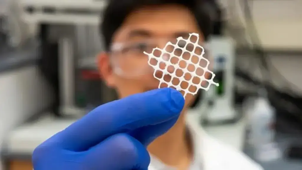 Cientistas da Universidade Estadual da Carolina do Norte imitam algas marinhas emaranhadas e criam malha biodegradável que captura microplásticos de diferentes tamanhos em água doce e salgada, com possibilidade de reaproveitamento do material por meio de micróbios