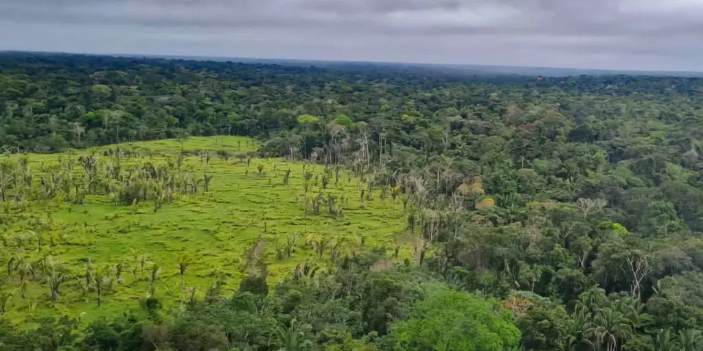 Imazon aponta desmatamento zero em 60% de terras indígenas na Amazônia Imazon aponta desmatamento zero em 60% de terras indígenas na Amazônia