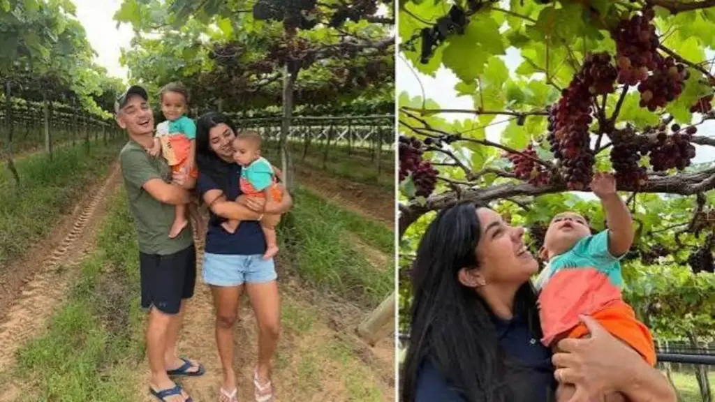 Aos 23 anos, cantor João Gomes investe R$ 2 milhões em fazenda de uvas em Petrolina, entra com tudo no campo e usa conhecimento da Agropecuária e também cria gado na Bahia