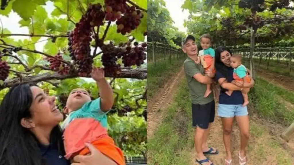 Cantor de só 24 anos transforma refúgio no interior de PE em fazenda de uvas de R$ 2 milhões, investe na produção irrigada e também cria gado em outras propriedades na Bahia