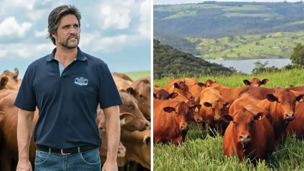 Aos 49 anos, cantor Leo Chaves troca parte da rotina dos palcos pela vida no campo, investe em gado Senepol, reprodução avançada e transforma fazenda em Uberlândia em refúgio familiar e negócio de genética bovina