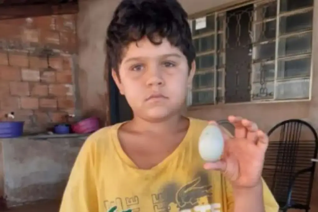 Aos 8 anos, menino de Caçu com quase nada em casa doa o único ovo da geladeira para o leilão solidário do abrigo de idosos, o gesto corre a cidade, o ovo é arrematado por quase R$ 4 mil para a reforma do asilo e a comunidade ainda enche a casa do garoto de comida e brinquedos Aos 8 anos, menino de Caçu com quase nada em casa doa o único ovo da geladeira para o leilão solidário do abrigo de idosos, o gesto corre a cidade, o ovo é arrematado por quase R$ 4 mil para a reforma do asilo e a comunidade ainda enche a casa do garoto de comida e brinquedos