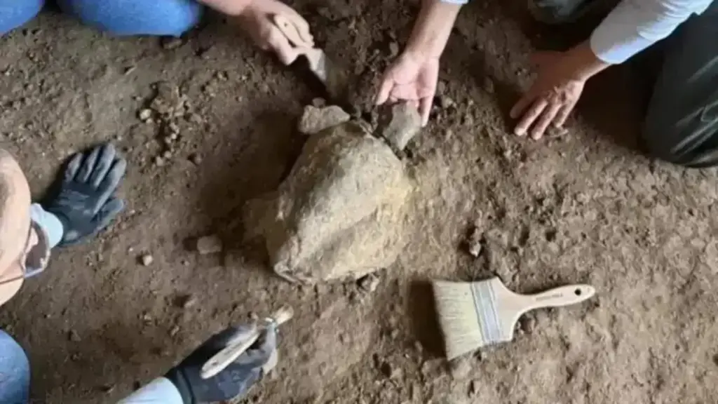 Arqueólogos resolvem entrar em caverna turca e desenterram 25 pedras estranhas em forma de tartaruga, datadas de até 14.500 a.C. e organizadas ao redor de uma misteriosa estrutura ritual Arqueólogos resolvem entrar em caverna turca e desenterram 25 pedras estranhas em forma de tartaruga, datadas de até 14.500 a.C. e organizadas ao redor de uma misteriosa estrutura ritual