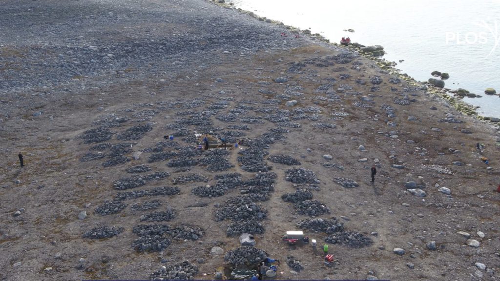 Aquecimento global destrói cemitério histórico no Ártico, derrete o permafrost, expõe esqueletos de baleeiros preservados por séculos e ameaça mais de 220 sepulturas preservadas por séculos