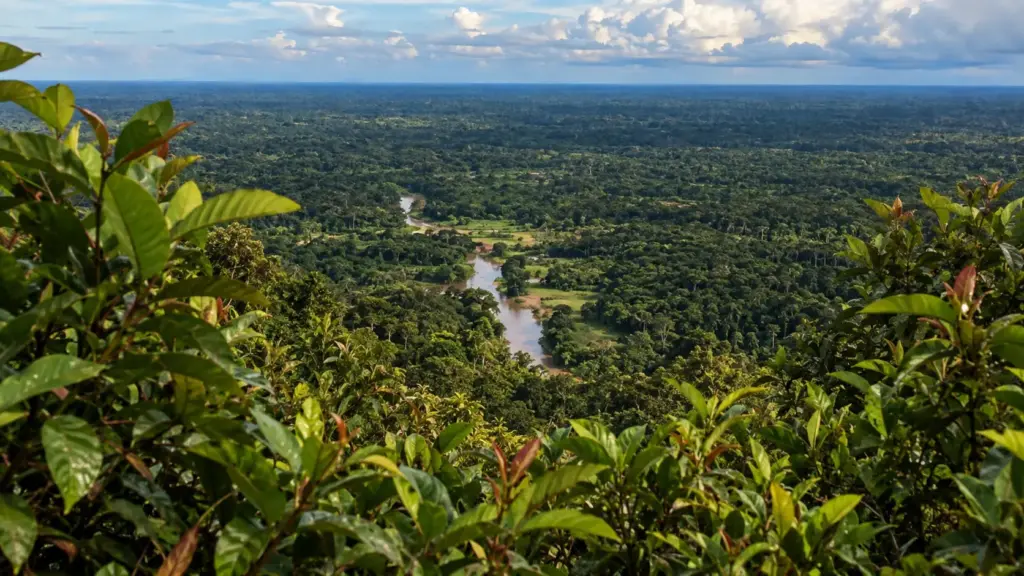 Após 7 horas de barco pela Amazônia, destino no Acre revela 7 cachoeiras escondidas, piscina natural e mirante a 609 metros com um dos últimos pores do sol do Brasil