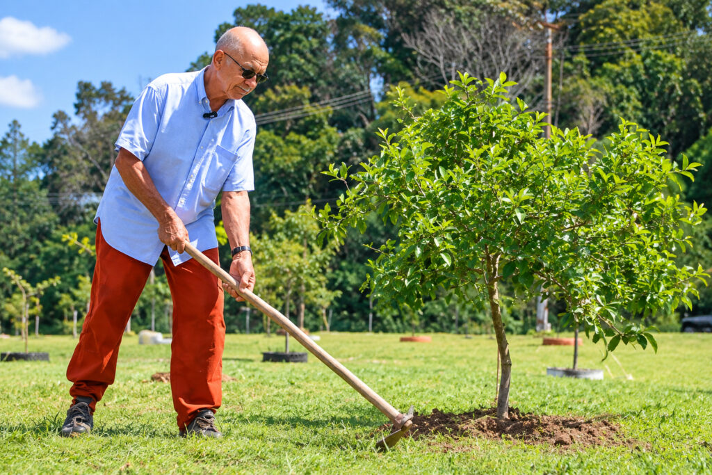 Aos 78 anos, morador planta mais de 100 árvores frutíferas em área pública de Juiz de Fora, atrai pássaros e diz que pomar foi feito para a população e para o futuro
