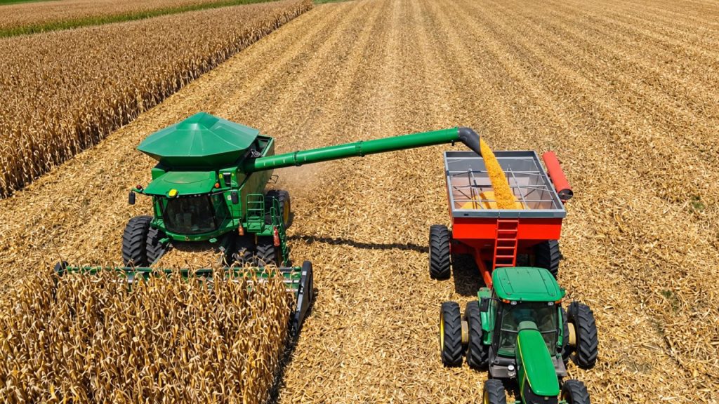 Colheita do milho safrinha chega a 98,7% da área no Brasil, enquanto soja 2026/27 começa a ser plantada e milho verão avança acima da média dos últimos cinco anos, aponta a Conab