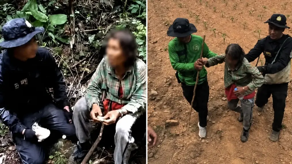 Idosa de 73 anos entra na floresta para colher cogumelos, passa três dias perdida comendo figos e bebendo pouca água até ser encontrada a apenas 2 km após busca com mais de 100 pessoas