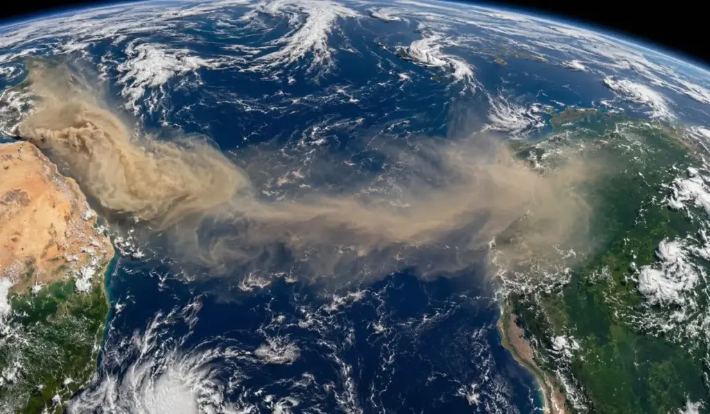 Poeira do deserto do Saara atravessa o oceano e atinge a Amazônia após percorrer mais de 5 mil quilômetros pelo Atlântico, despeja cerca de 27,7 milhões de toneladas por ano e leva fósforo que ajuda a repor nutrientes perdidos pela floresta