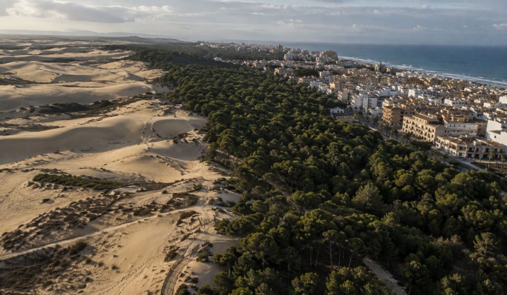Cidade de 3 mil habitantes na Espanha estava prestes a ser engolida pelas dunas e desaparecer sob a areia, até engenheiro receber missão de salvá-la, plantar 600 mil árvores e transformar 846 hectares em uma floresta que ainda protege moradores mais de um século depois