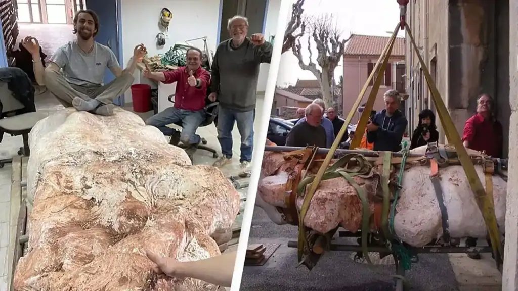 Homem encontra esqueleto de titanossauro ao passear com o cachorro na França; ossos têm cerca de 70 milhões de anos