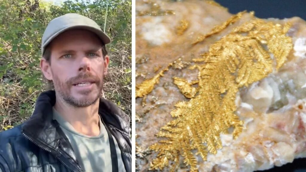Garimpeiro encontra carta antiga em museu que apontava para campo de ouro esquecido havia mais de um século, passa 6 meses rastreando o local, cava quase 1 metro após detectar sinal forte e retira enorme bloco de quartzo com ouro visível, depois tratado com ácido para revelar uma formação dendrítica rara