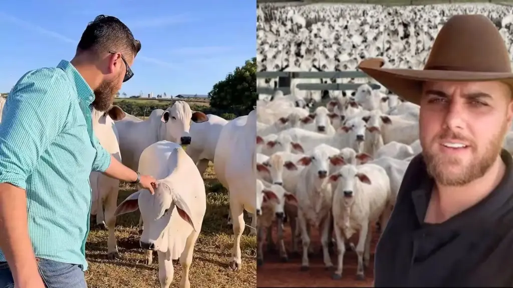 Aos 36 anos, Zé Neto transforma fazenda no Tocantins num império rural onde gado Nelore de elite divide grandes áreas verdes com heliponto, manejo genético, carretas boiadeiras, frota de seis caminhões e um refúgio reservado para toda família Aos 36 anos, Zé Neto transforma fazenda no Tocantins num império rural onde gado Nelore de elite divide grandes áreas verdes com heliponto, manejo genético, carretas boiadeiras, frota de seis caminhões e um refúgio reservado para toda família
