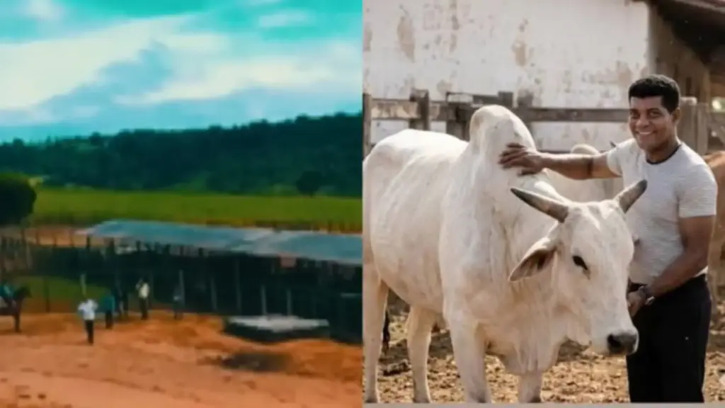 Ex-parceiro do cantor Daniel deixou ‘oásis’ rural em Brotas com gado de corte, ovelhas, haras e áreas de preservação; morto em 1997, ele deixou uma história familiar marcada por uma menina de 5 anos