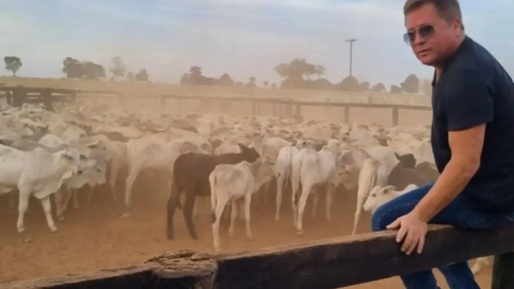 Leonardo mantém uma fazenda adquirida recentemente em Peixe, no Tocantins, como área produtiva, passou a cultivar soja e gergelim e, em outra parte da propriedade, compra e vende gado, conectando o imóvel rural à produção agrícola e pecuária no sul do estado