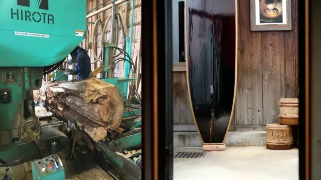 Japonês encontra árvores destruídas por ursos, transforma as cicatrizes da madeira em peças valiosas e cria projeto que une arte, conservação e uma nova forma de enxergar o problema