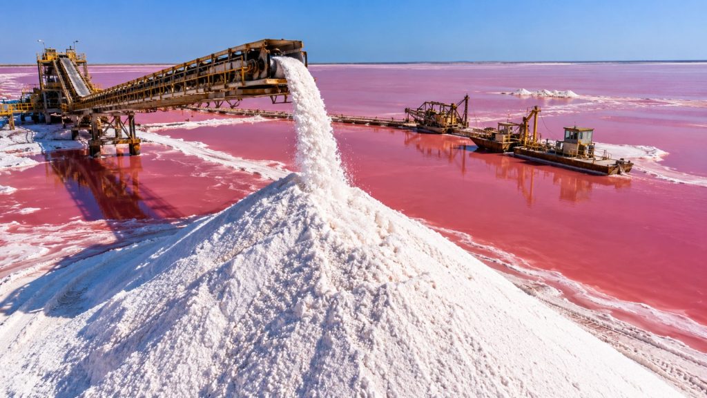Lago rosa do Senegal vira cenário de trabalho extremo: homens passam horas em água mais salgada que o Mar Morto para retirar 60 mil toneladas de sal por ano
