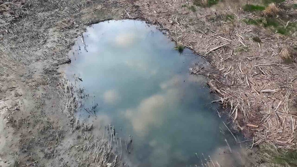Mulher de 68 anos vê van atolar no meio da floresta, cai em poça de lama e passa três dias quase totalmente submersa até dois amigos enxergarem apenas seus lábios e ouvirem um sussurro pedindo ajuda