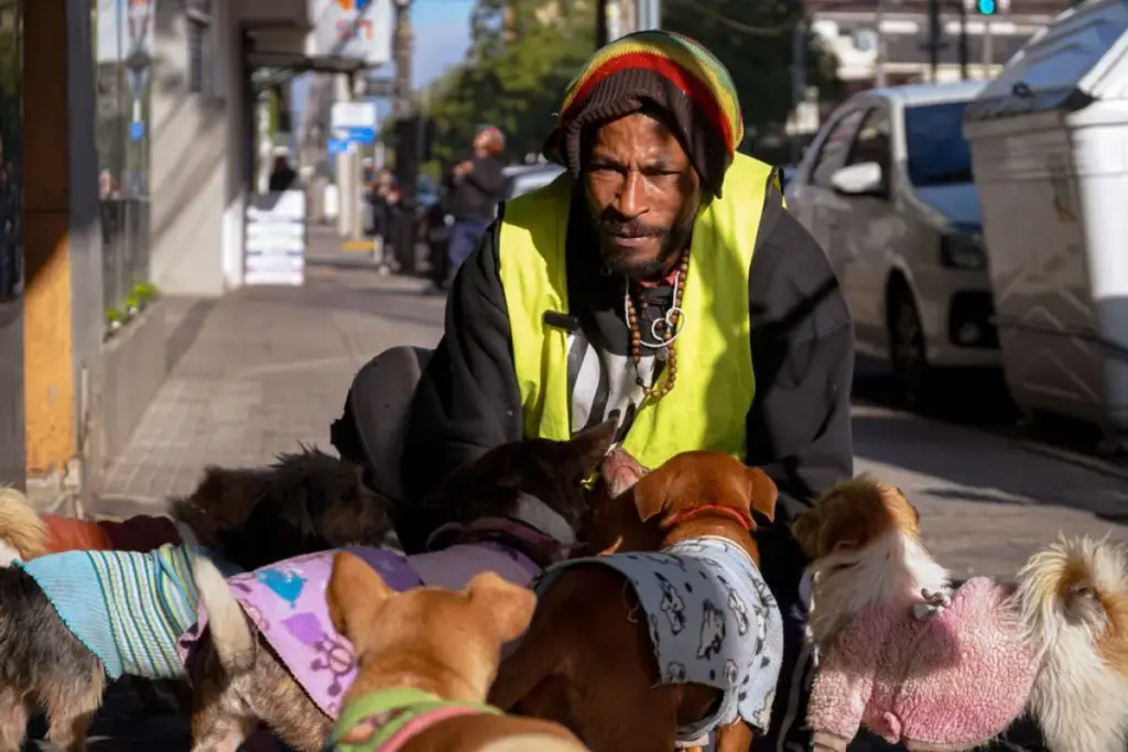 Moradores de Santa Maria percebem que o catador que circula pelas ruas divide o pouco que ganha com os 16 cães que resgatou, a história repercute e uma amiga cria a vaquinha para sustentar a matilha que ele se recusa a abandonar