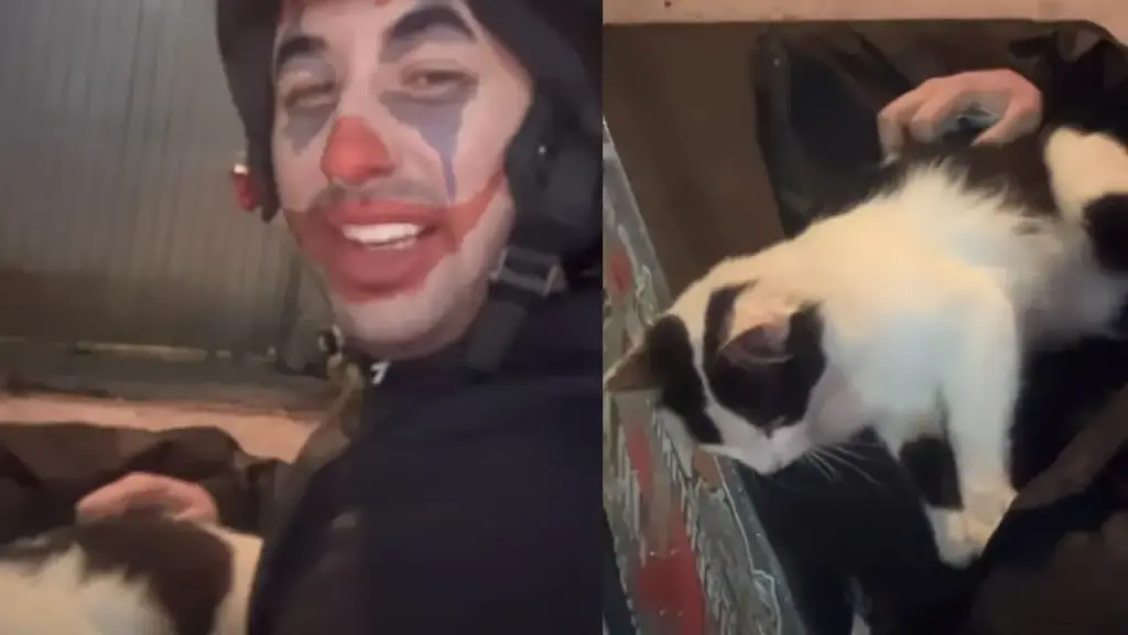 Motoboy faz entrega de R$ 120, ouve do cliente que faltavam R$ 20 para completar o pagamento e recebe uma proposta inesperada: levar um gato no lugar do dinheiro; ele aceita na hora, coloca o animal na caixa da moto e transforma uma corrida comum em uma das histórias mais inusitadas da própria rotina de trabalho