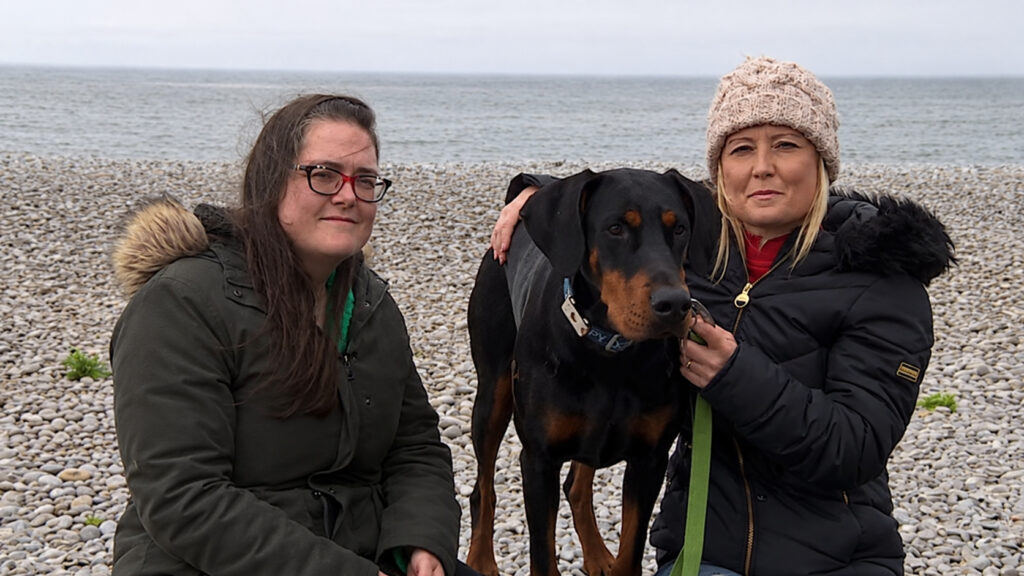 Ela tinha a apenas cinco anos de vida, levou seu cachorro à praia e o animal não desgrudava de uma desconhecida: a estranha acabaria sendo seu rim compatível em uma chance de 1 em 22 milhões