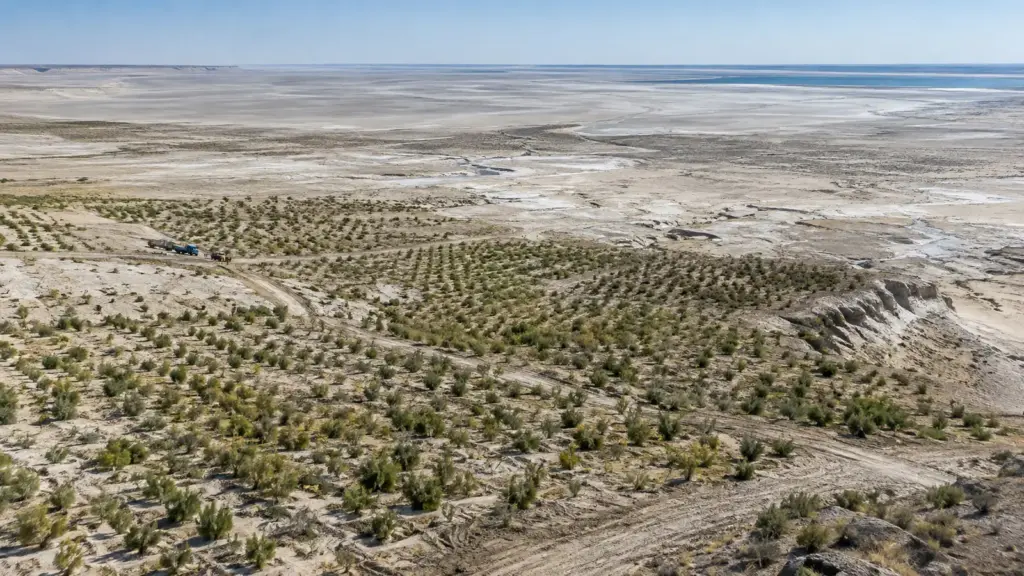 Maior desastre ambiental da Ásia Central deixou mais de 90% do Mar de Aral desaparecer, transformou o fundo em deserto salgado e agora Uzbequistão tenta reverter estrago com 1,7 milhão de hectares recuperados Maior desastre ambiental da Ásia Central deixou mais de 90% do Mar de Aral desaparecer, transformou o fundo em deserto salgado e agora Uzbequistão tenta reverter estrago com 1,7 milhão de hectares recuperados