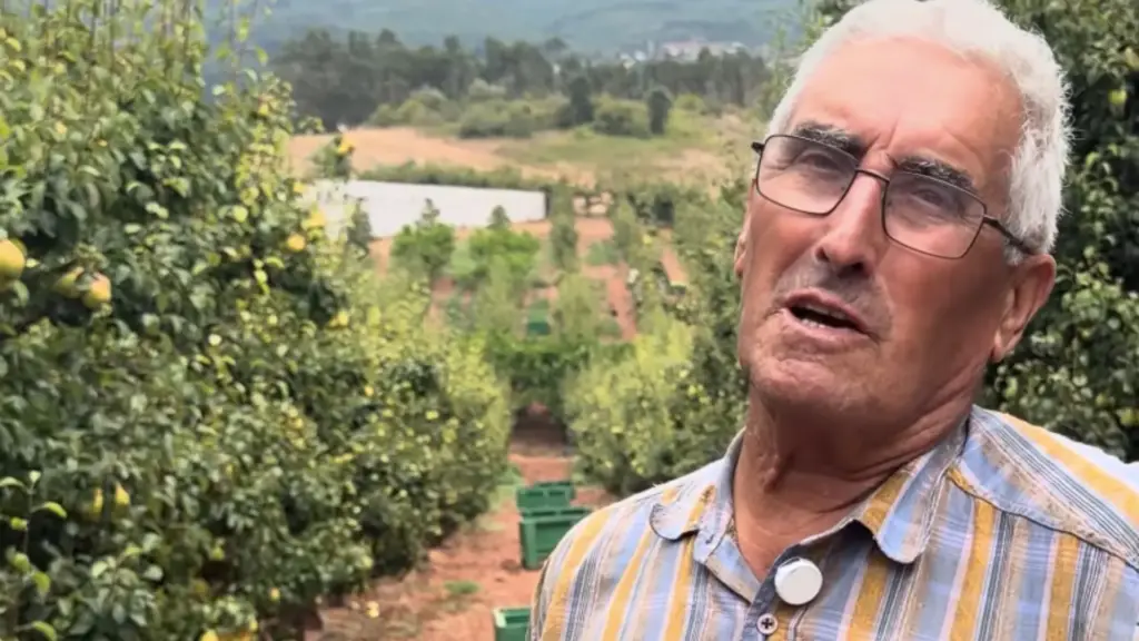 Aos 82 anos, agricultor começa cedo, trabalha até quase 23h para manter pomar de pera rocha de pé, enfrenta falta de mão de obra, custos em alta e preço da fruta que não acompanha as despesas e faz alerta sobre o futuro no campo: “Quem não tem lucro tem que parar”