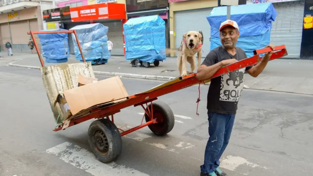 Cachorro sumido havia quase dois meses aparece do nada aos pés de um repórter durante transmissão ao vivo, a tutora reconhece pela TV e o reencontro acontece 12 km de casa