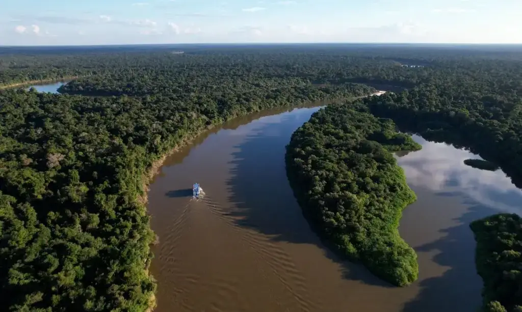 Devastação na Amazônia pode quebrar maior “máquina de chuva” do mundo