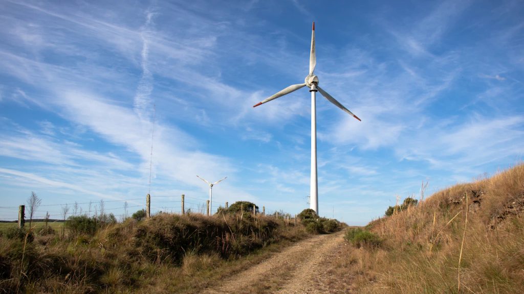 Brasil passa 51 dias de 2026 cortando mais de 60% do potencial de energia solar e eólica, e restrições somam 22,47 milhões de MWh enquanto rede tenta absorver expansão renovável