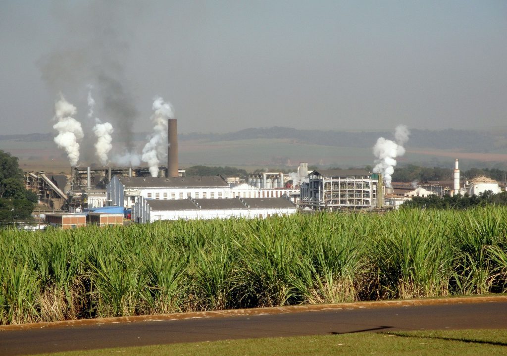 Estudo projeta salto de 68% nos biocombustíveis até 2030 e alerta que expansão pode pressionar até 36 milhões de hectares, com Brasil entre os mercados centrais