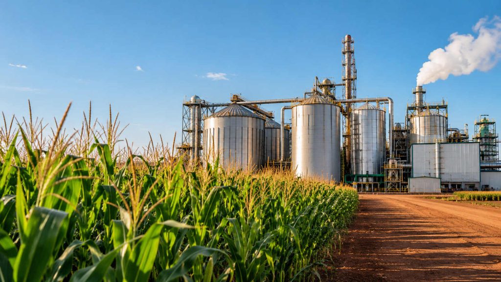 Forte expansão: produção de etanol de milho deve atingir 11,8 bilhões de litros no Brasil, cresce 14,6% e já mira mercado bilionário no transporte marítimo
