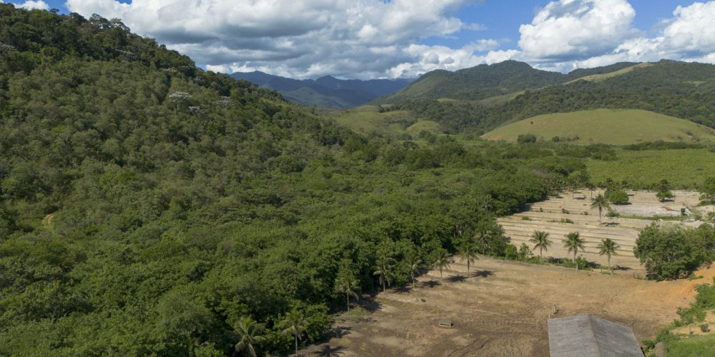Agricultura ganha 11 milhões de hectares em 41 anos na Mata Atlântica Agricultura ganha 11 milhões de hectares em 41 anos na Mata Atlântica
