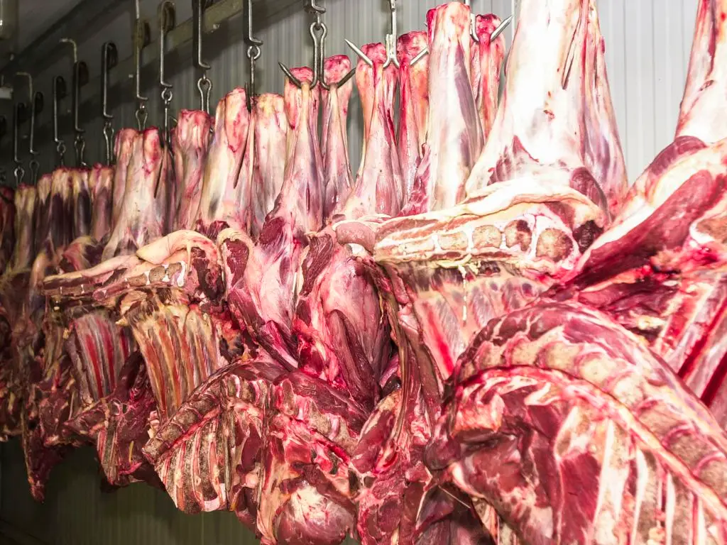 CNA pede medidas contra UE após embargo à carne do Brasil CNA pede medidas contra UE após embargo à carne do Brasil
