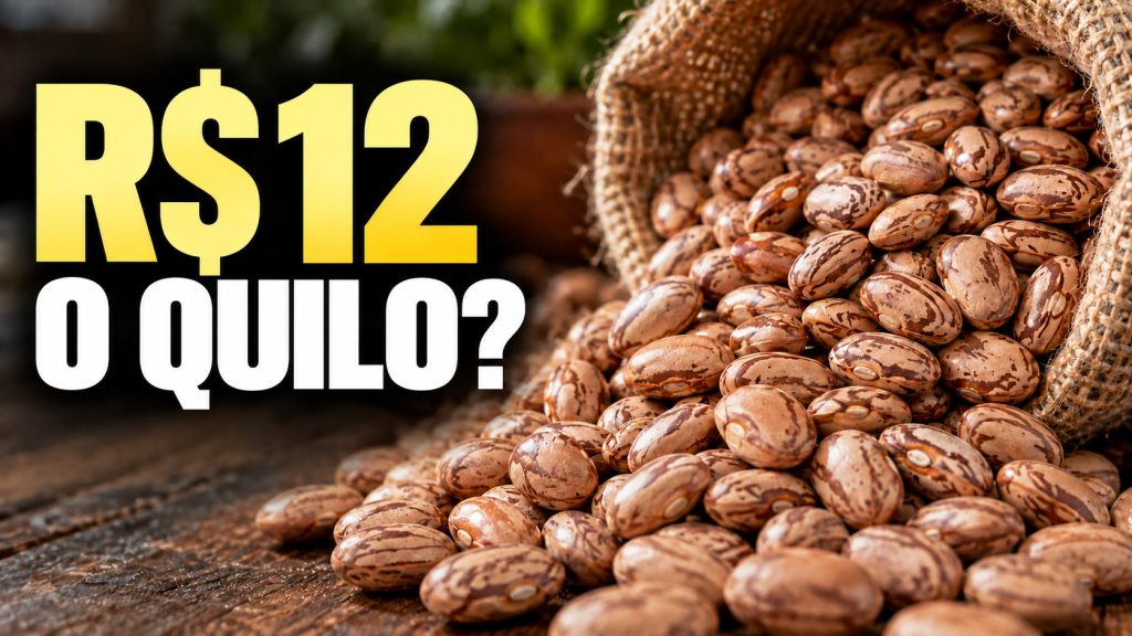 Feijão carioca pode chegar a R$ 12 o quilo em algumas regiões em 2027, alerta entidade, enquanto produtores reduzem plantio e dão espaço à soja
