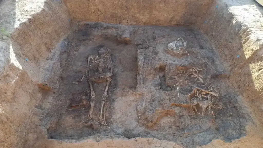 Arqueólogos encontraram rara câmara funerária de mais de mil anos na Rússia com possível nobre enterrado ao lado de cavalo, cachorro, armas e objetos de prata