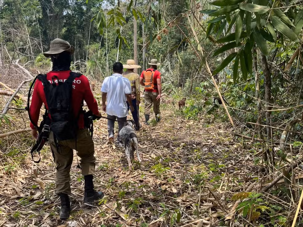Bombeiros usam cães farejadores em busca por bebê de 9 meses sequestrada pelo tio no AC Bombeiros usam cães farejadores em busca por bebê de 9 meses sequestrada pelo tio no AC