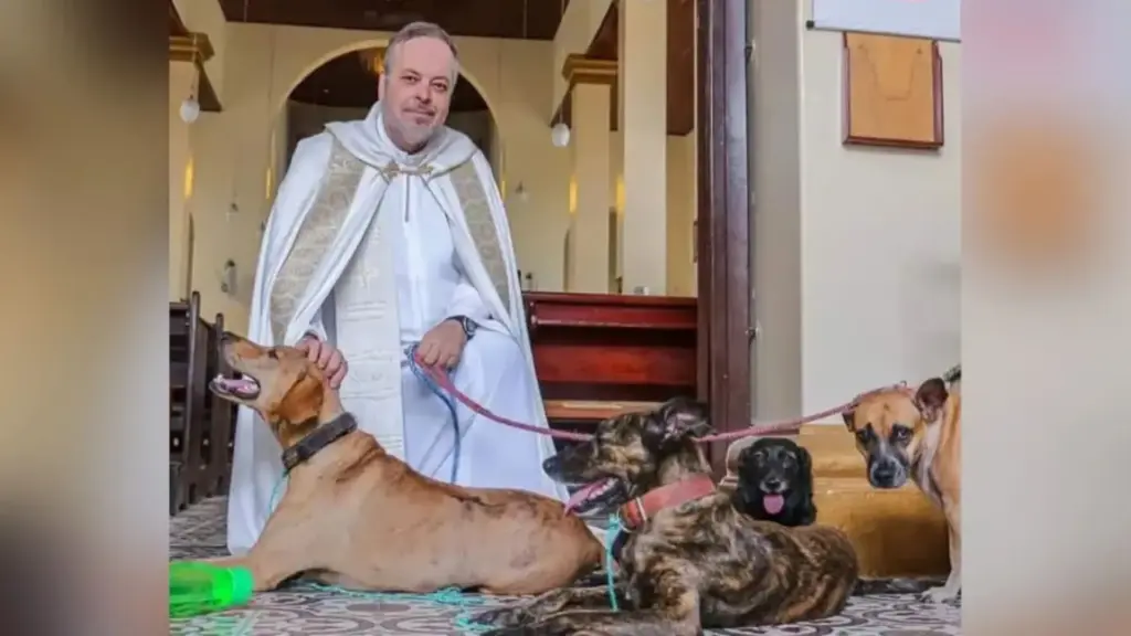 Padre de Pernambuco abre as portas da igreja para cães abandonados, resgata animais das ruas, apresenta-os aos fiéis no fim das missas e transforma o altar em uma ponte para quase 200 deles encontrarem uma família