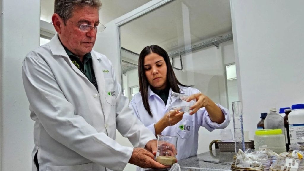 Pesquisadores de Pernambuco criam tecnologias para a indústria de petróleo e gás, que vão de ultrassom para dessalinização da água a sistema contra coral-sol em estruturas offshore