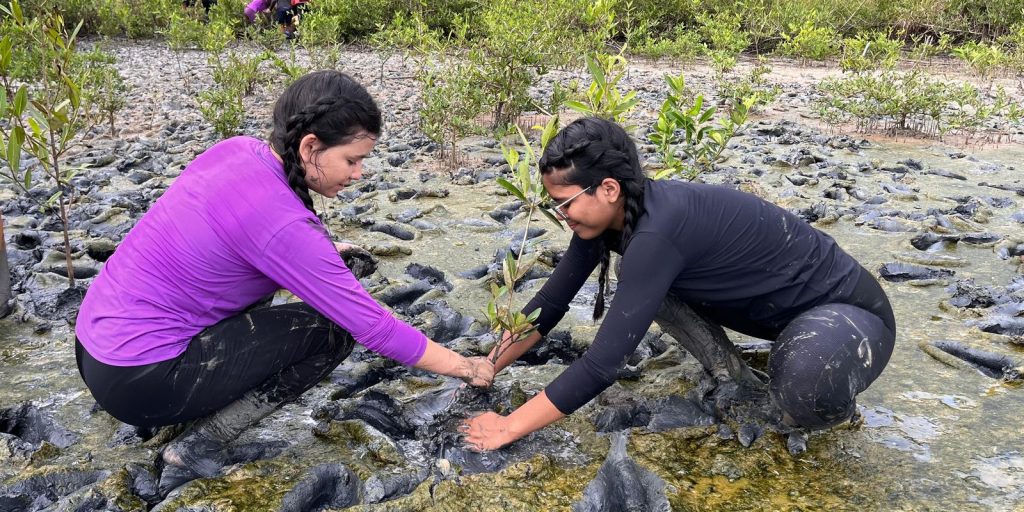 Inscrição de trabalhos no Fórum de Educação Ambiental termina dia 30