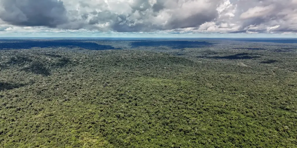 Reino Unido anuncia 400 mi de libras para Fundo Florestas Tropicais