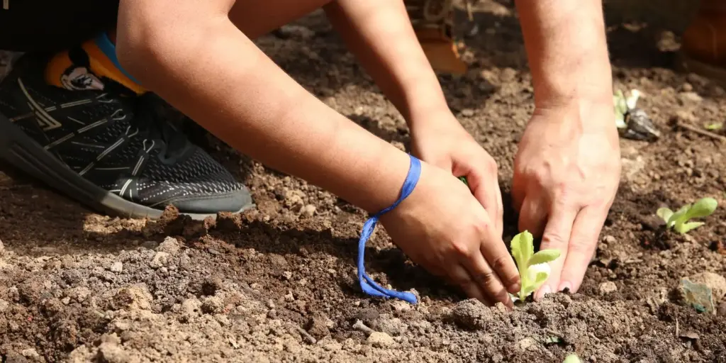 Entidades pedem apoio de candidatos em defesa da agroecologia Entidades pedem apoio de candidatos em defesa da agroecologia