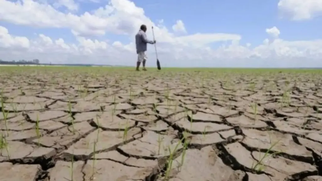Seca severa salta de 44 para 216 assentamentos em um mês e já ameaça mais de 80% da área agropecuária de 122 municípios