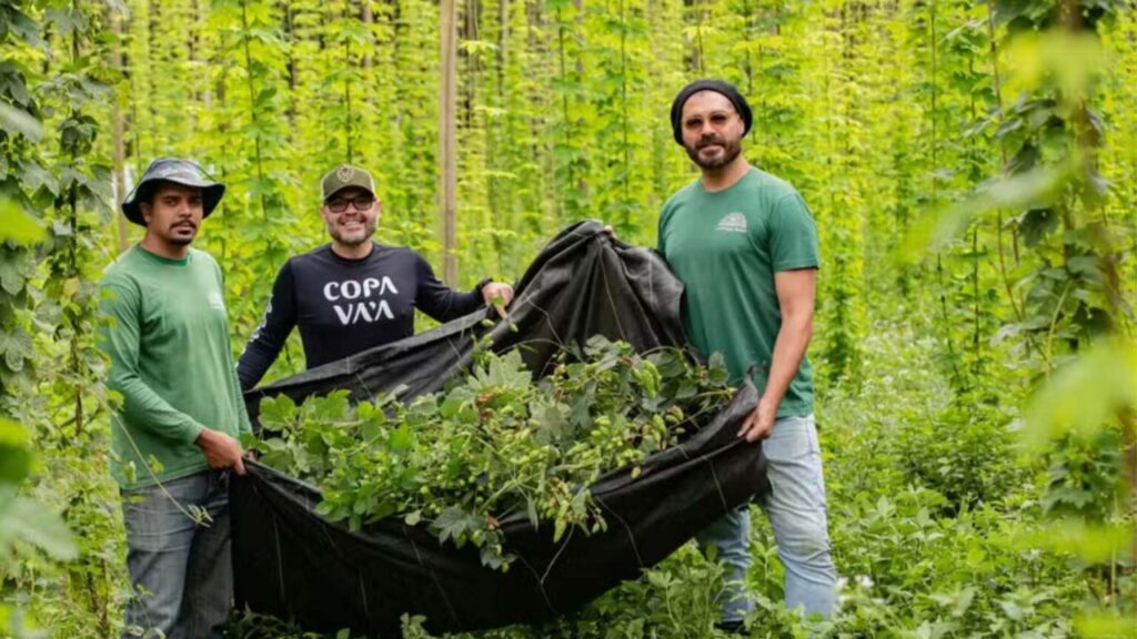 Ator Thiago Lacerda transformou 3 mil m² de propriedade da família em plantação de lúpulo em Petrópolis, enfrentou fungos e excesso de umidade no cultivo e, dois anos depois, lançou uma cerveja feita com matéria-prima produzida no próprio sítio
