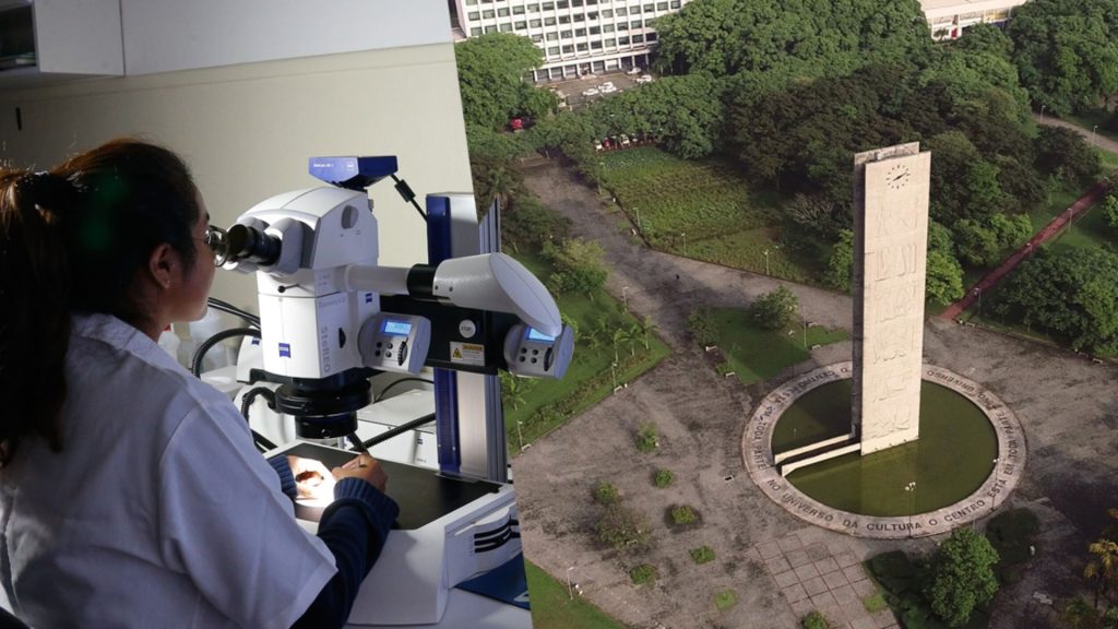 Brasil amplia presença entre cientistas mais influentes do mundo e alcança 1.510 representantes; crescimento de 3,4% ante a edição anterior reforça avanço da participação brasileira Brasil amplia presença entre cientistas mais influentes do mundo e alcança 1.510 representantes; crescimento de 3,4% ante a edição anterior reforça avanço da participação brasileira